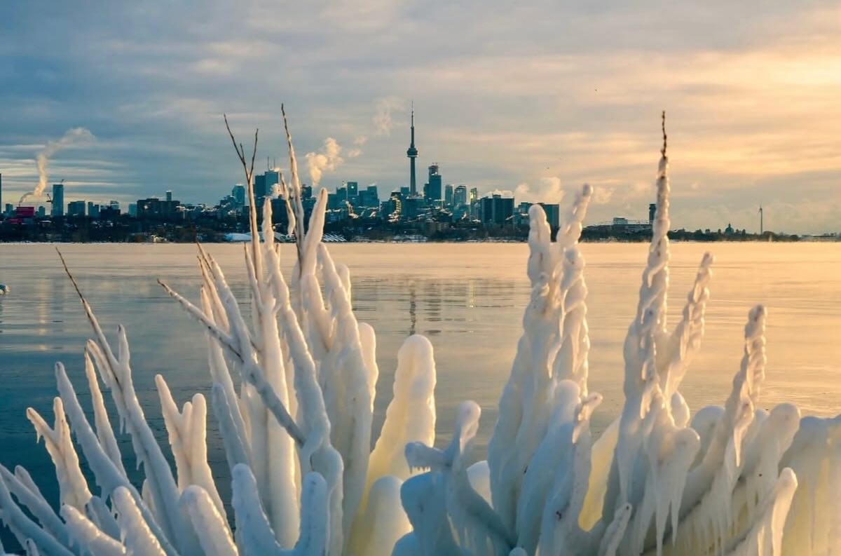 Toronto skyline with CN Tower